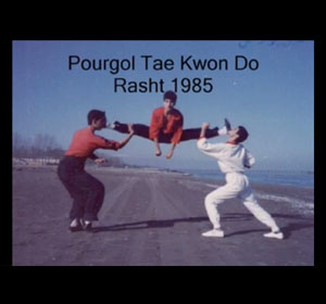 Shahin Pourgol-Bronze Medal Winner-Provincial Tae Kwon Do Championship-Gilan, Iran 1985